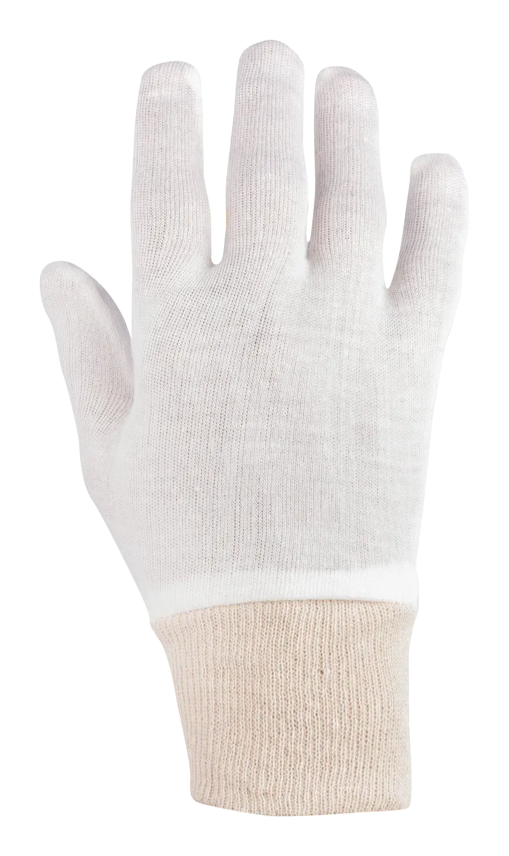 Guide 4301