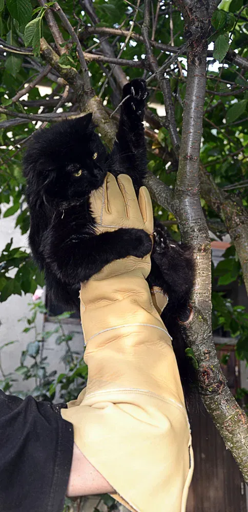Rostaing Animalys bijtwerende handschoen