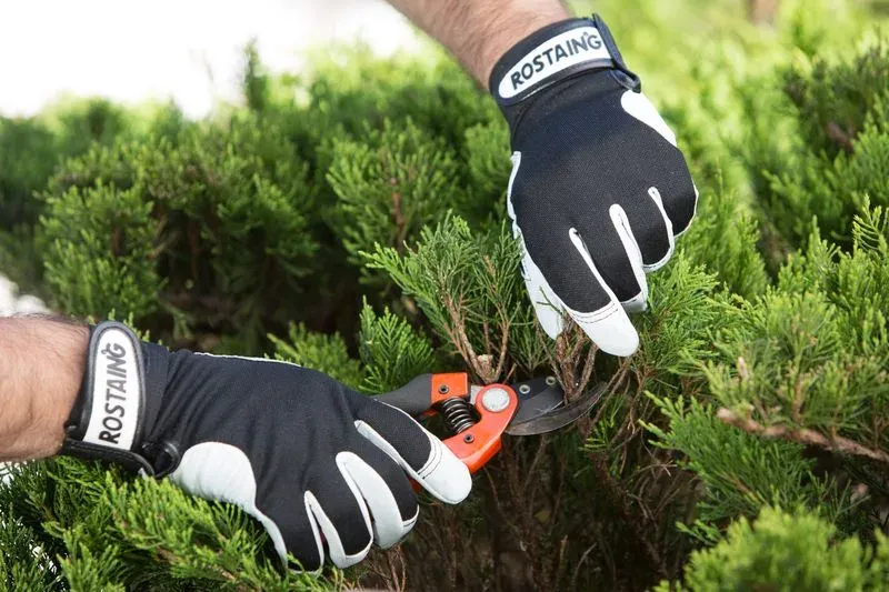 Rostaing Contact lederen tuinhandschoen