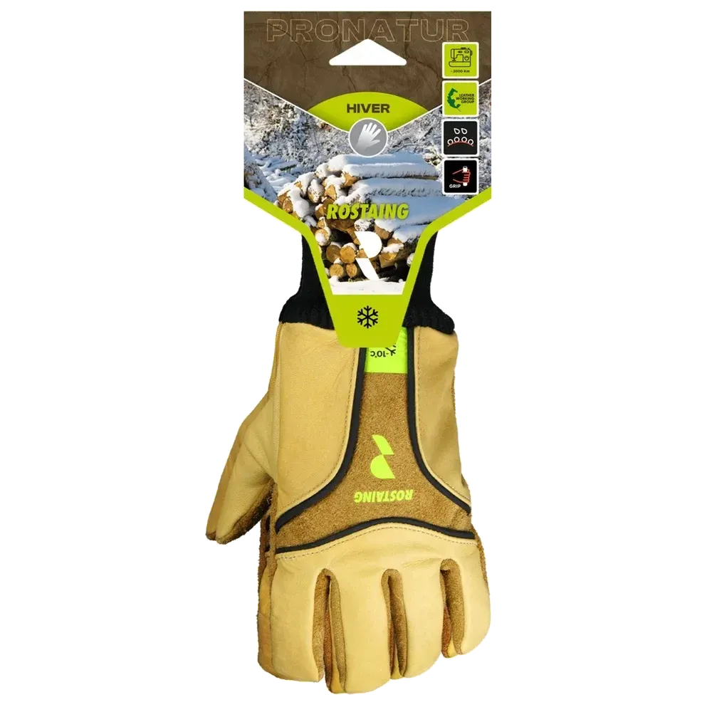 Rostaing Hiver lederen winterhandschoen