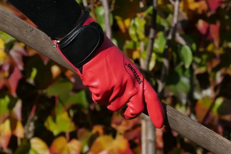 Rostaing Maxima.F tuinhandschoen