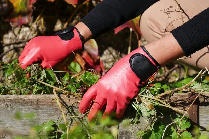 Rostaing Maxima.F tuinhandschoen