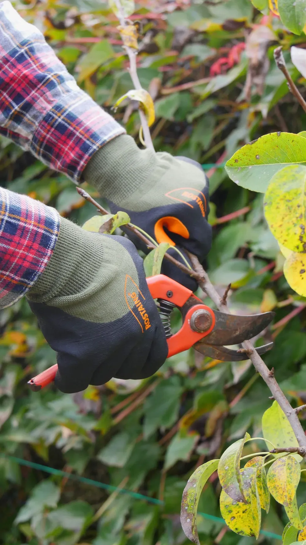 Rostaing Midseason tussenseizoenhandschoen