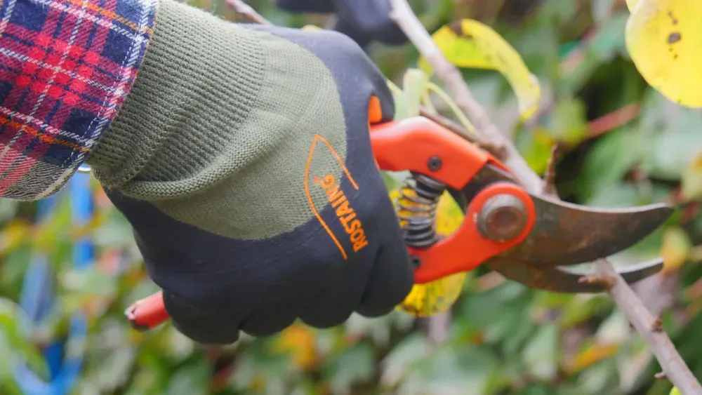 Rostaing Midseason tussenseizoenhandschoen