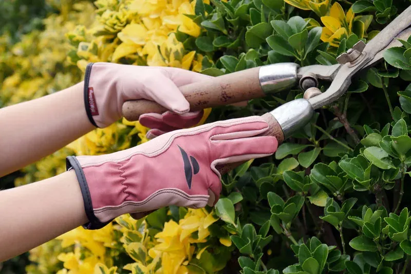 Rostaing Miss lederen tuinhandschoen