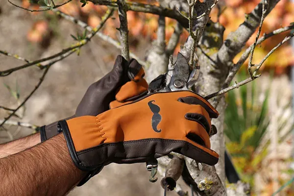 Rostaing Mister lederen tuinhandschoen