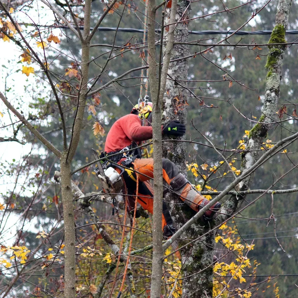 Rostaing Motoc trillingsdempende hoveniershandschoen