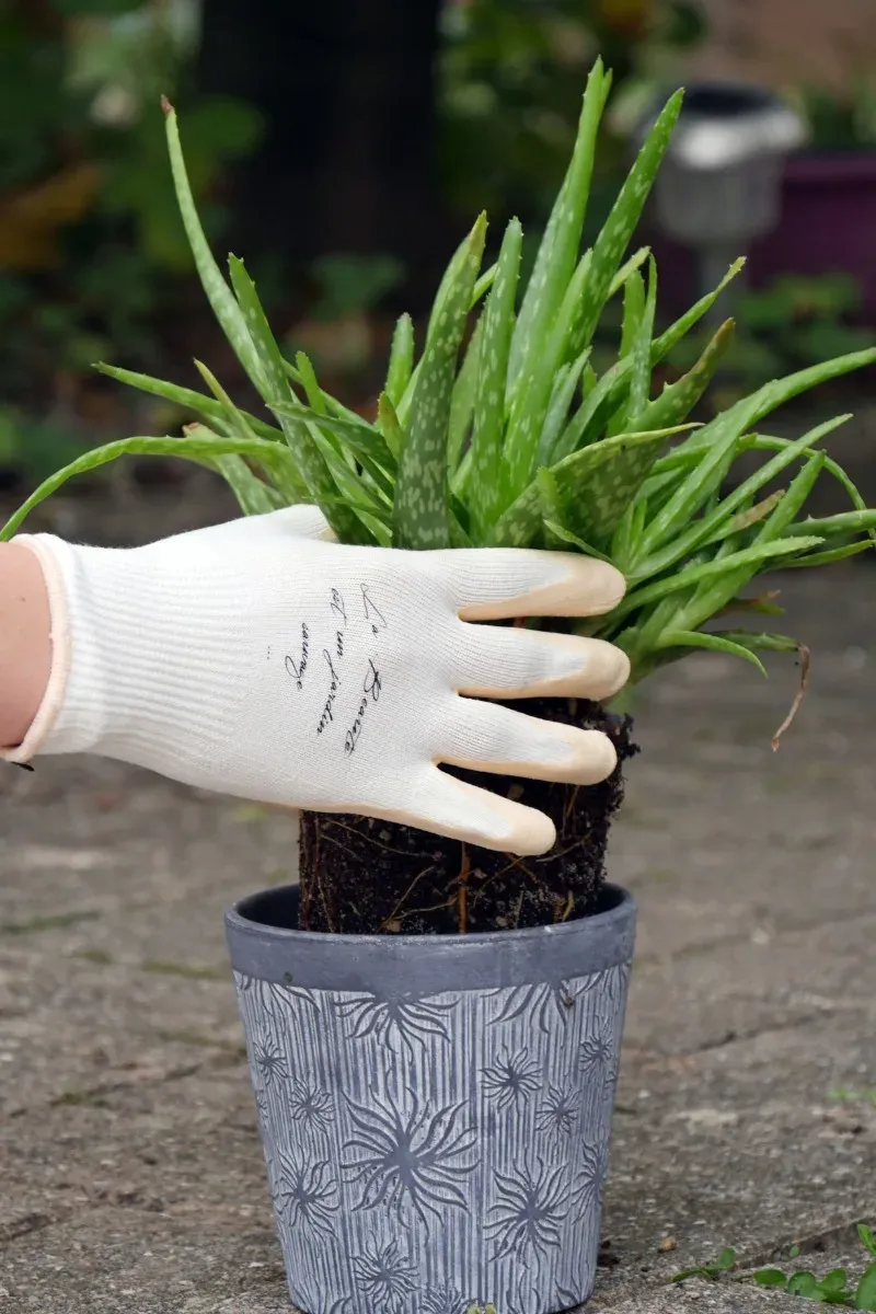 Rostaing Nude tuinhandschoen van bamboevezel