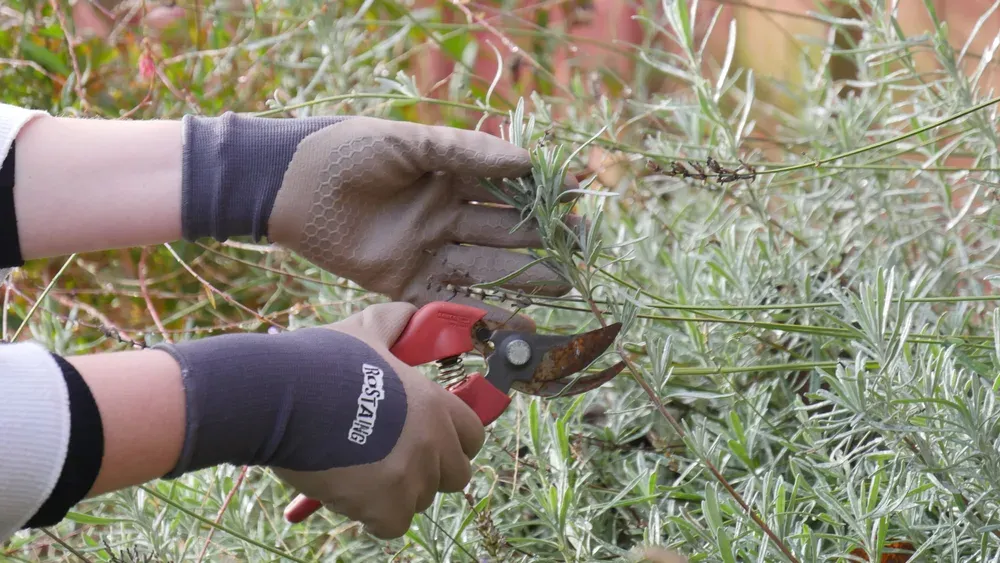 Rostaing One4All tuinhandschoen