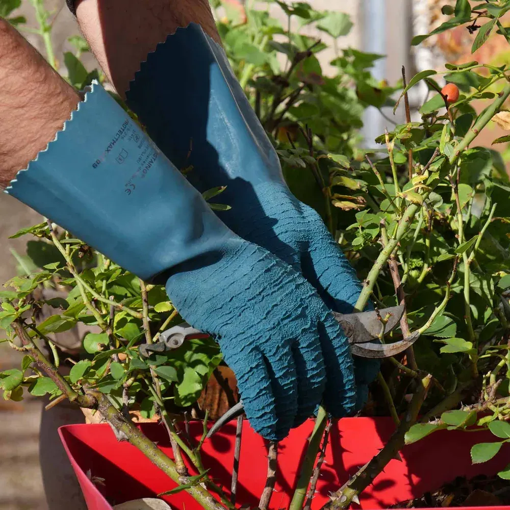 Rostaing Protectmax lange rozenhandschoen