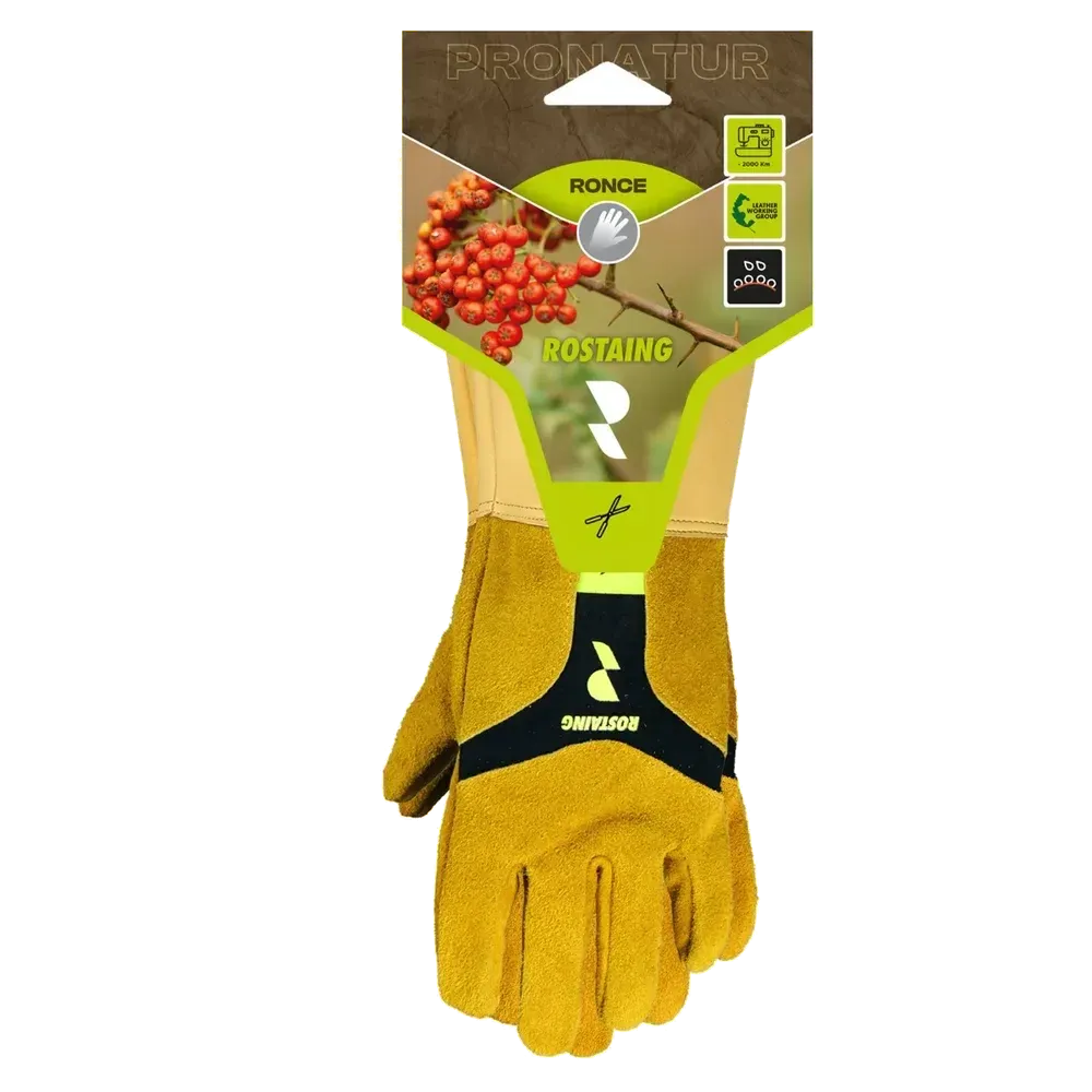 Rostaing Ronce doornhandschoen met manchet